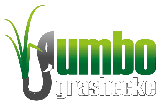 jumbograshecke.com